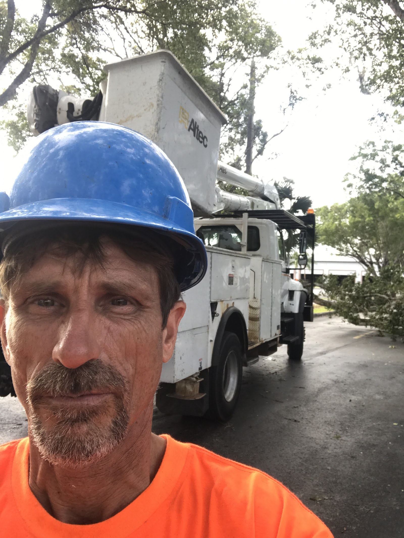 Van, owner of Van Hutchinson, Arborist