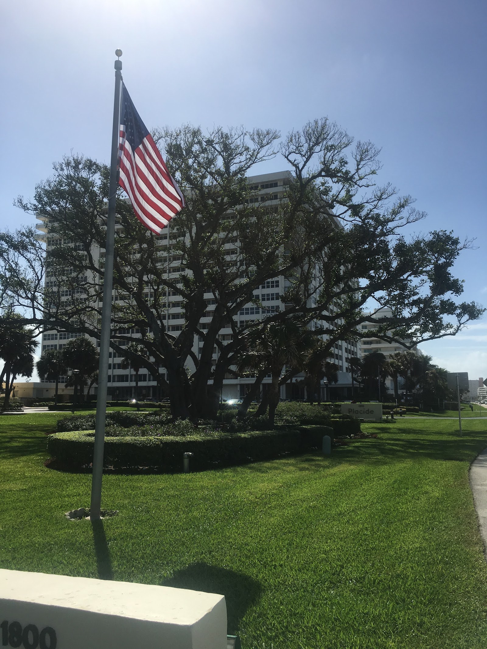 American flag beneath a mature oak canopy