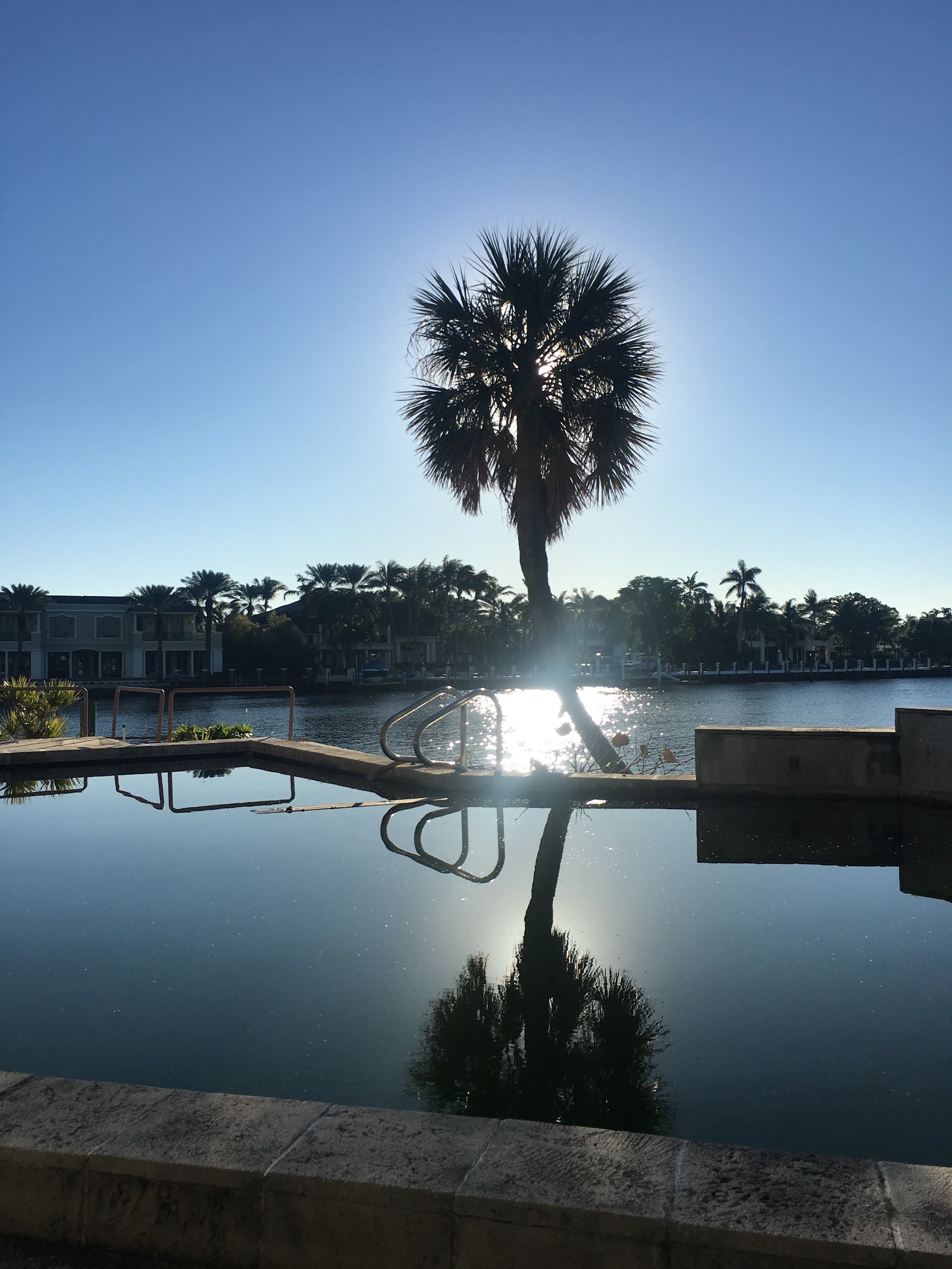Palm silhouette over a waterfront pool