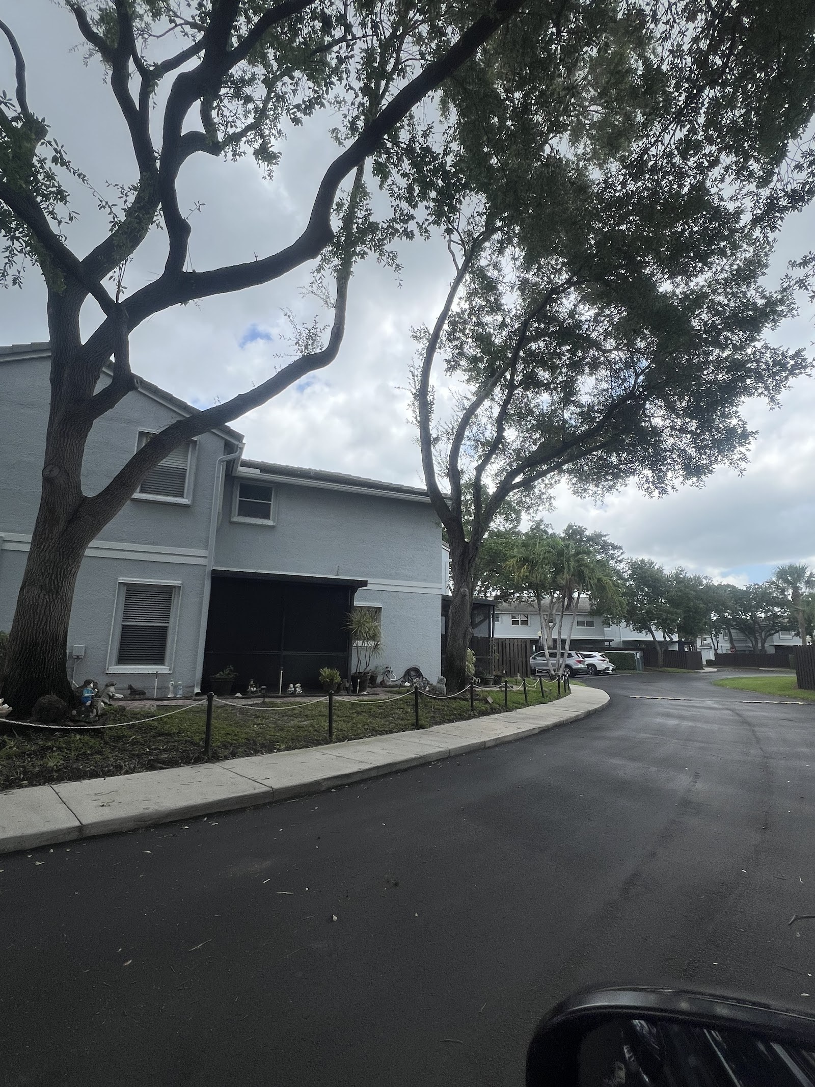 Tree-lined residential street after cleanup