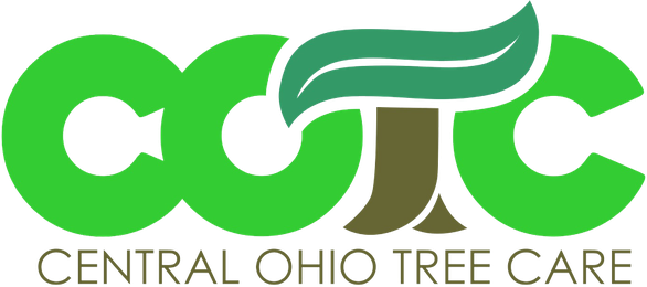 Van Hutchinson, Arborist